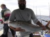 Al with Amberjack